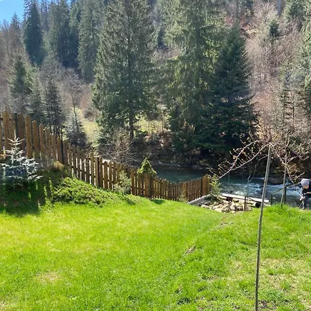 котеджi у бажанiв Apartament *