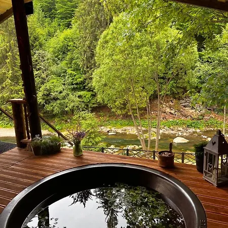 котеджi у бажанiв Apartment Tatariv