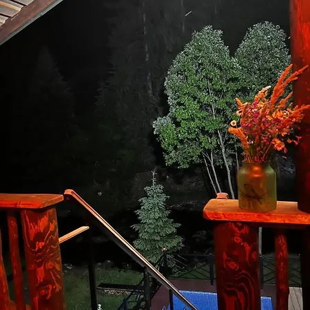 котеджi у бажанiв Tatariv