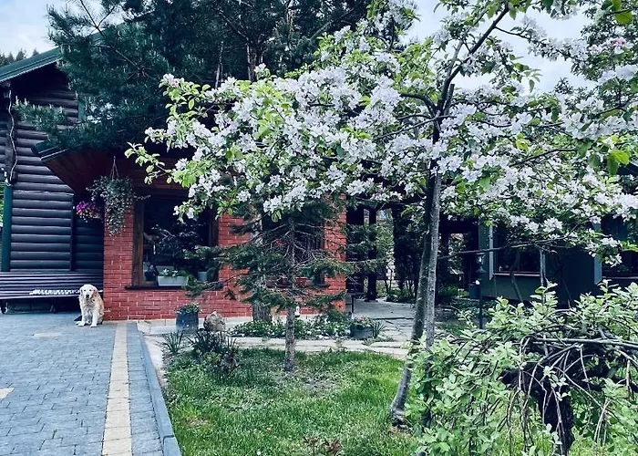 котеджi у бажанiв Apartment Tatariv